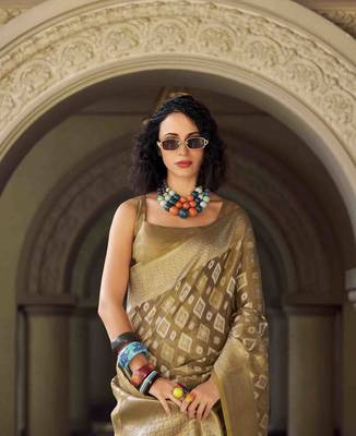 chiku tissue silk blend saree with unstitched blouse piece 4