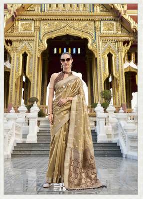 chiku tissue silk blend saree with unstitched blouse piece 1