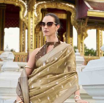 chiku tissue silk blend saree with unstitched blouse piece 4