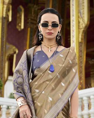 khaki tissue silk blend saree with unstitched blouse piece 4