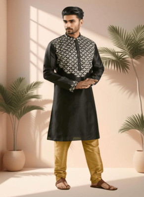 Kurta set for men"s 2