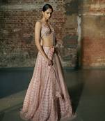 Rose Gold Swarm Lehenga Set Paired With Blouse And Dupatta