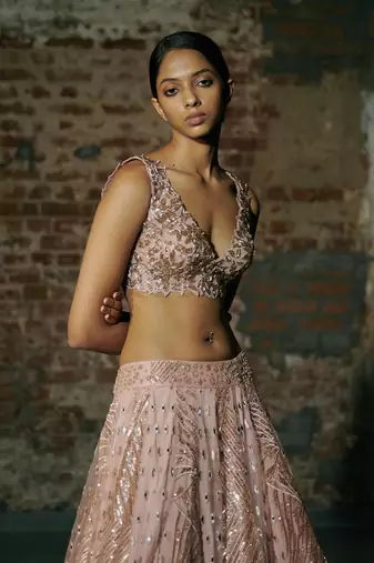 Rose Gold Swarm Lehenga Set Paired With Blouse And Dupatta