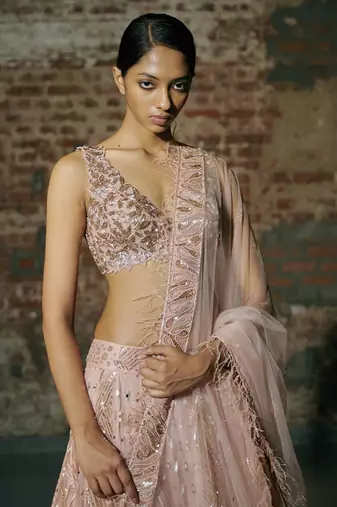 Rose Gold Swarm Lehenga Set Paired With Blouse And Dupatta