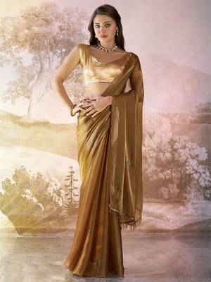 Brown solid fancy burberry organza saree 1