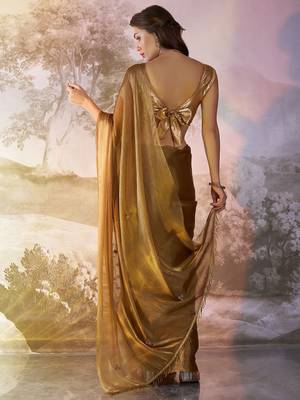 Brown solid fancy burberry organza saree 2