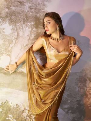 Brown solid fancy burberry organza saree 3