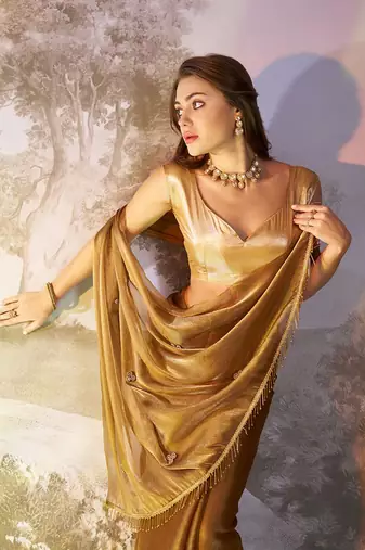 Brown solid fancy burberry organza saree