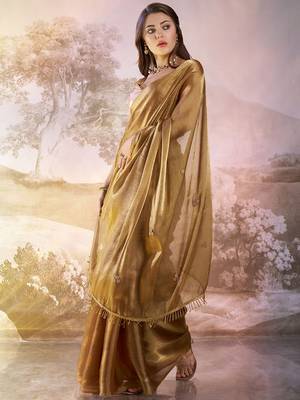 Brown solid fancy burberry organza saree 5