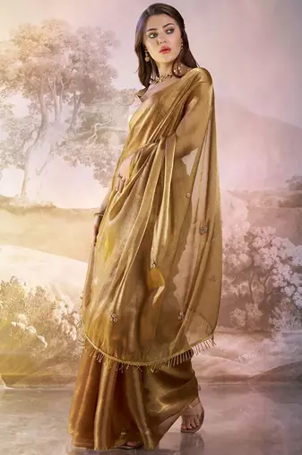 Brown solid fancy burberry organza saree