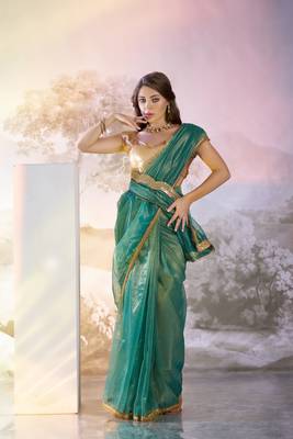 Rama twill net c solid fancy saree 1