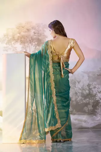 Rama twill net c solid fancy saree