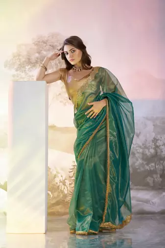 Rama twill net c solid fancy saree