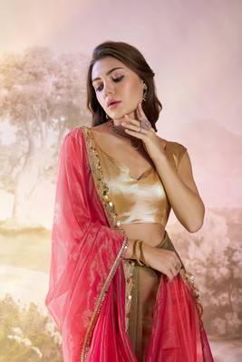 Rust twill net c solid fancy saree 3