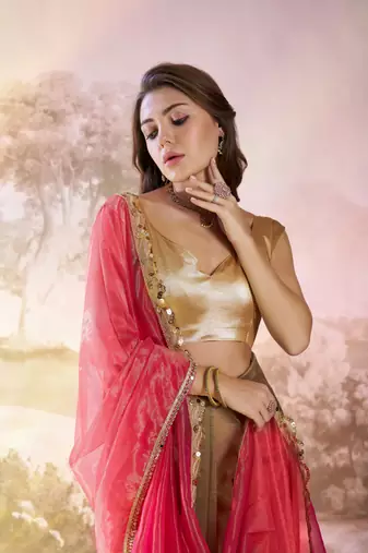 Rust twill net c solid fancy saree