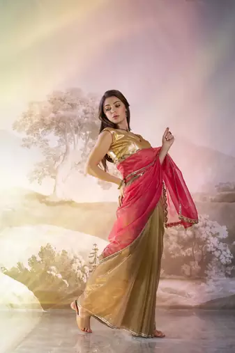 Rust twill net c solid fancy saree