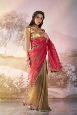Rust twill net c solid fancy saree 5
