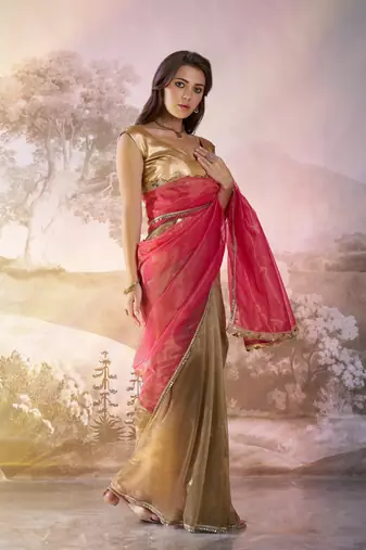 Rust twill net c solid fancy saree