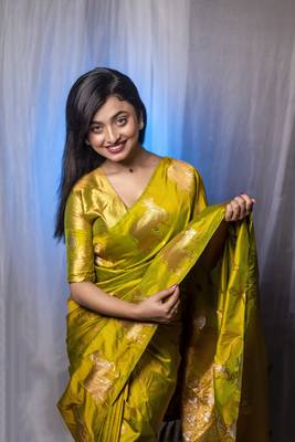 Mahendi wevon zari nandi moonga silk blend saree 1