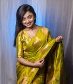 Mahendi wevon jari nandi designer moonga silk blend saree