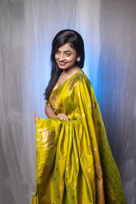 Mahendi wevon zari nandi moonga silk blend saree 4