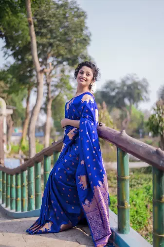 Blue wevon zari nandi moonga silk blend saree