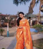 Orange wevon jari nandi designer moonga silk blend saree