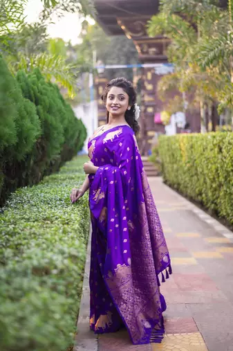 Lavender wevon zari nandi moonga silk blend saree