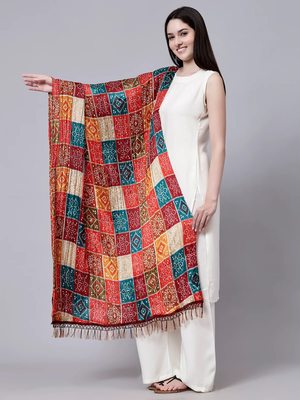 Trendmalls Women's Bandhej Chinon Silk Dupatta 3
