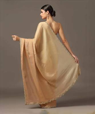 The classic shades of gold saree set 4