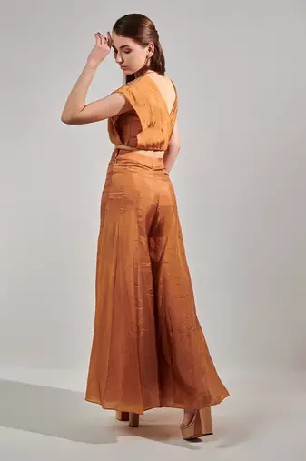 Honey mustard pleated top and sharara set