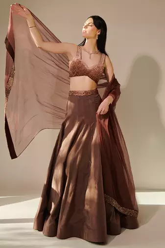 Earthy Brown Ombre Shaded Lehenga Set