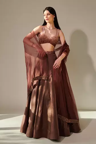 Earthy Brown Ombre Shaded Lehenga Set