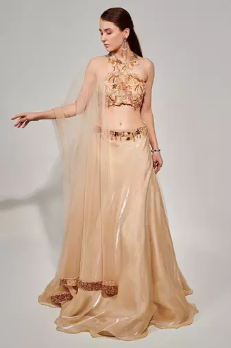 Ivory Cut Work Halter Neck Blouse And Lehenga Set