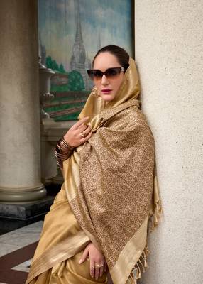 Chiku tissue silk blend saree with unstitched tissue blouse piece 2