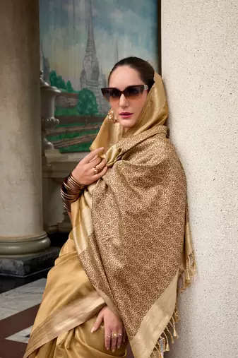 Chiku tissue silk blend saree with unstitched tissue blouse piece