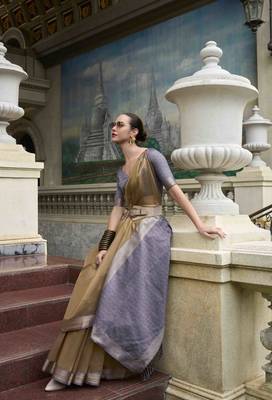 Khaki tissue silk blend saree with unstitched tissue blouse piece 2