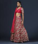 Rani Pink Embellished Lehenga Set