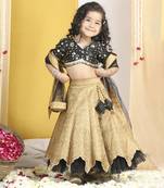 Sequence n coin work with banarsi lehanga with cut work