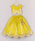 Gota embroidered lime green ghagara blouse set