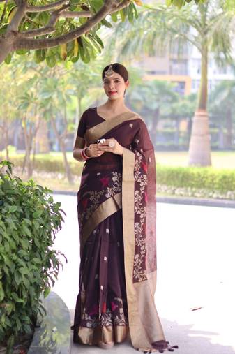 Coffee thread woven design with zari woven border