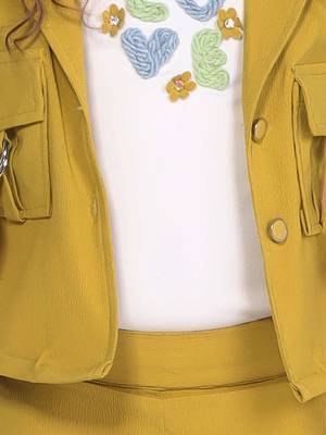 olive embriodered with solid jacket coord set 5