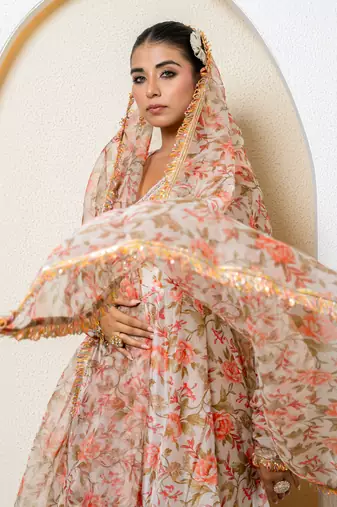 Multi-colored chanderi printed anarkali set