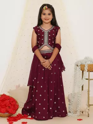 Alia embroidered choli with lehenga 1