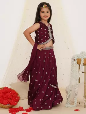 Alia embroidered choli with lehenga 3