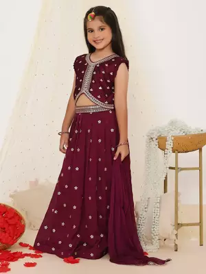 Alia embroidered choli with lehenga 4