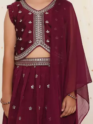Alia embroidered choli with lehenga 5