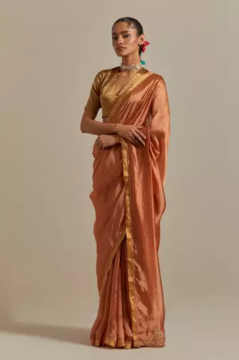 Handloom silk saree with gold zari border and embroidery on pallu