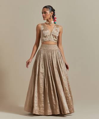 The Beige Zari Blouse With Gathered Skirt 4
