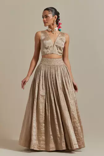 The Beige Zari Blouse With Gathered Skirt